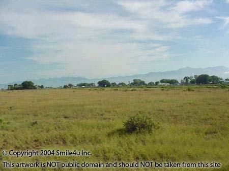 37 Acres Saguache County Colorado Ewing Ranch