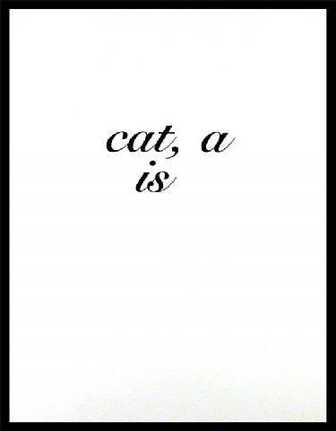 Diana Thater "Cat A Is" Rare Print: "CAT A IS", 1996, A limited edition color iris print measuring 43.5" x 33.25" FROM AN EDITION OF TWO, ONLY TWO IN THE WORLD EXIST!!!!!, Framed, the black in the photo is the frame.Medium: color iris p