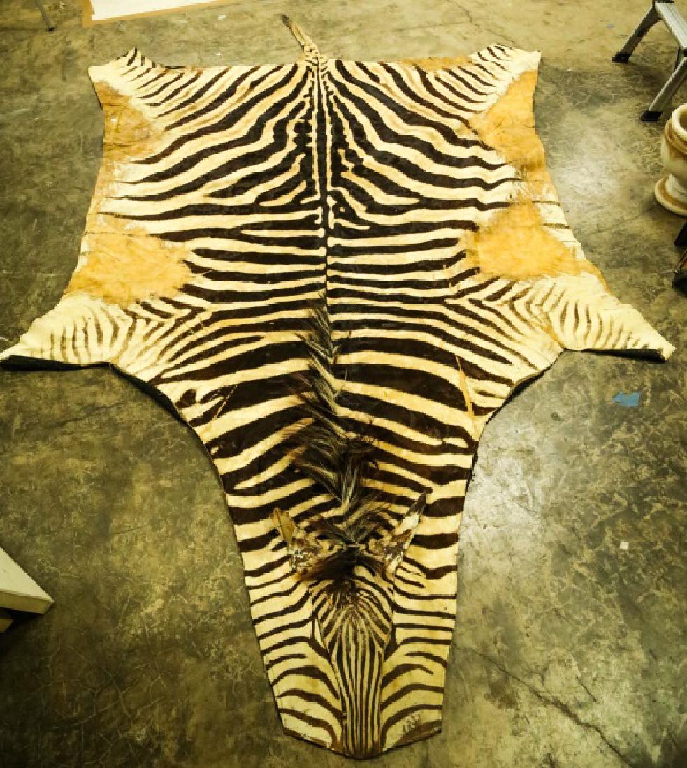 ZEBRA HIDE RUG: ZEBRA HIDE RUG. Height: 118 in. by Width: 72 in.