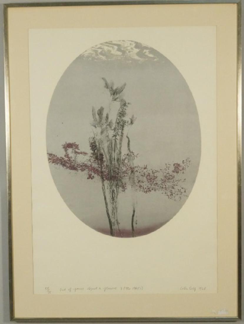 COLIN SELF "OUT OF FOCUS OBJECT AND FLOWERS" 58/75: COLIN SELF "OUT OF FOCUS OBJECT AND FLOWERS" EDITION NUMBER 58/75, CIRCA 1968. Height: 45 & 37 in. by Width: 33 & 26 in.