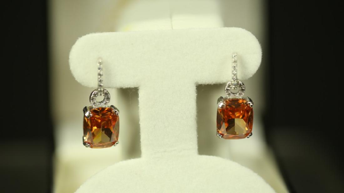 (66) 6.0 Ct. MORGANITE EARRINGS: (66) 6.0 Ct. MORGANITE EARRINGS