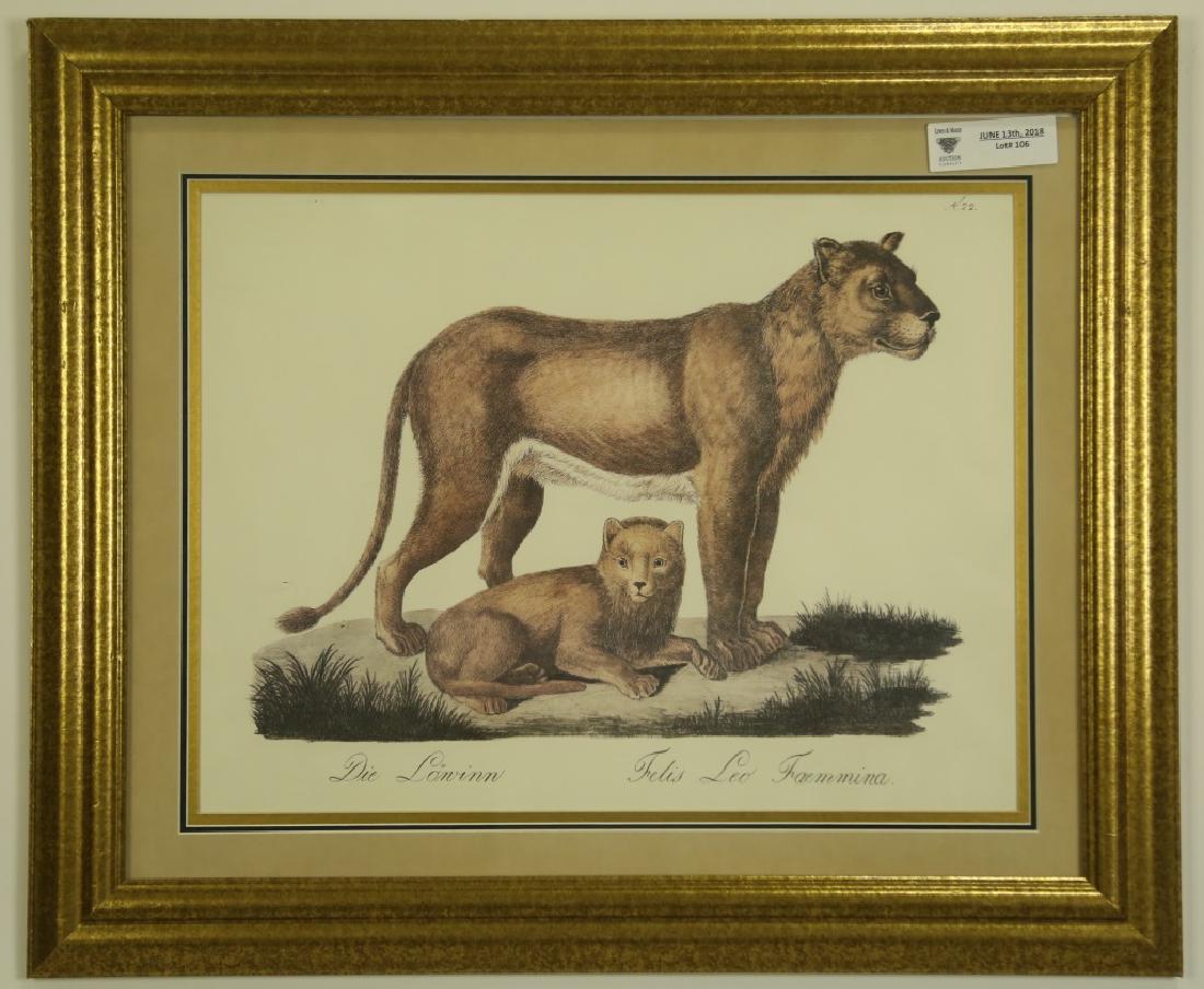 DIE LONINN, FELIS LEO FAEMMINA: DIE LONINN, FELIS LEO FAEMMINA Height: 20 in. by Width: 24 in.