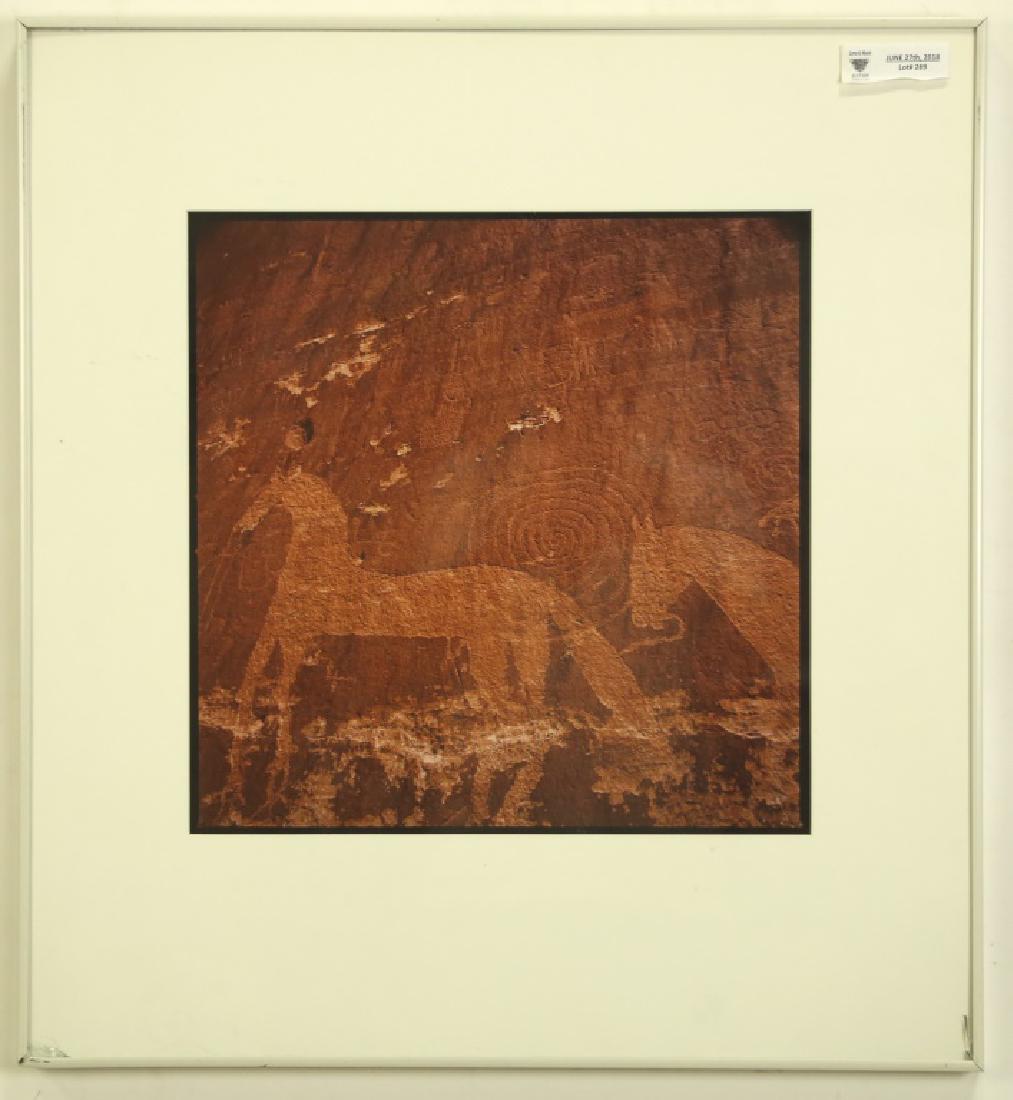 SUSAN MOLDENHAUER "NEW MEXICO" PHOTOGRAPH (1 of 2)