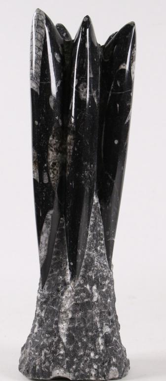 ORTHOCERAS TOWER (1 of 1)