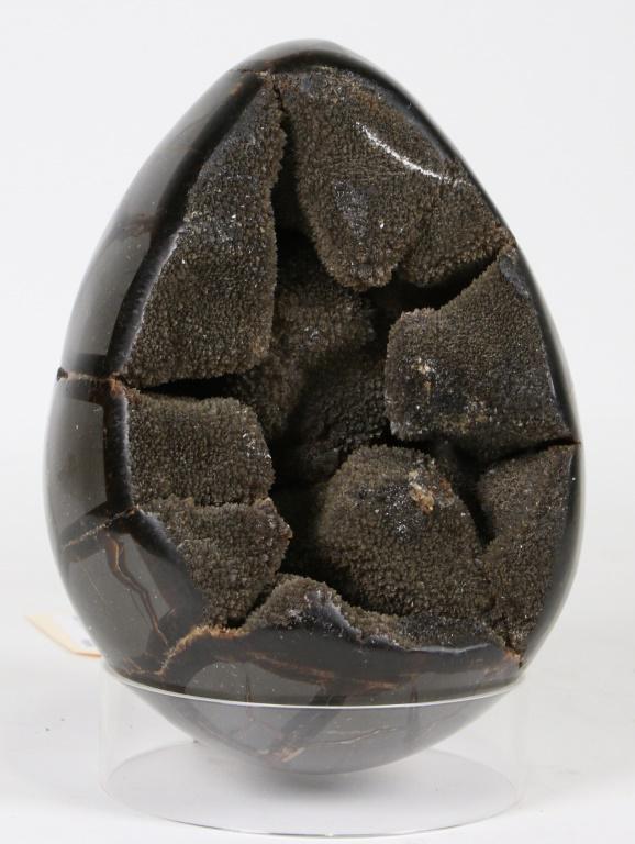 SEPTARIAN GEODE EGG (1 of 1)