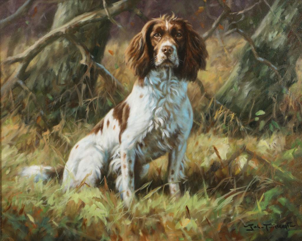 JOHN TRICKEY FRENCH SPANIEL ACRYLIC ON CANVAS: JOHN TRICKEYH FRENCH SPANIEL ACRYLIC ON CANVAS PAINTING IN GILDED FRAME. Height: 27 & 19 in. by Width: 31 & 23 in.