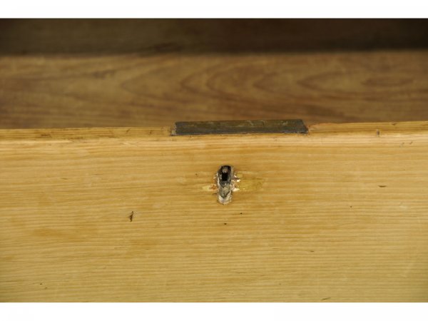 PINE HUTCH WITH THREE DRAWERS - 4