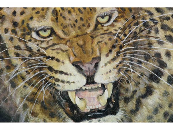 FRAMED OIL ON CANVAS OF LARGE CAT - 4