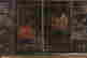 item-81714342=2