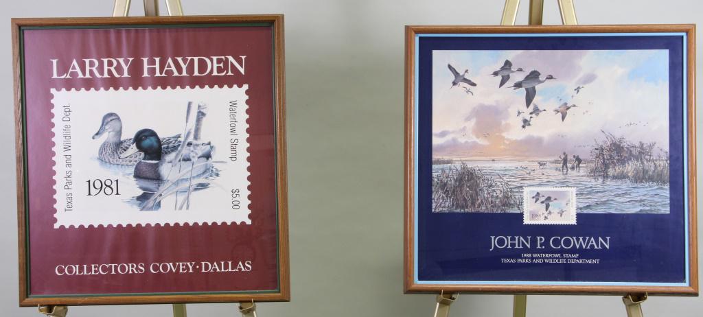 LARRY HAYDEN & JOHN P. COWAN POSTERS: LARRY HAYDEN & JOHN P. COWAN 1981 AND 1988 WATERFOWL STAMP POSTER PRINTS. Height: 25 in. by Width: 27 in.