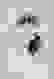 item-84063447=2