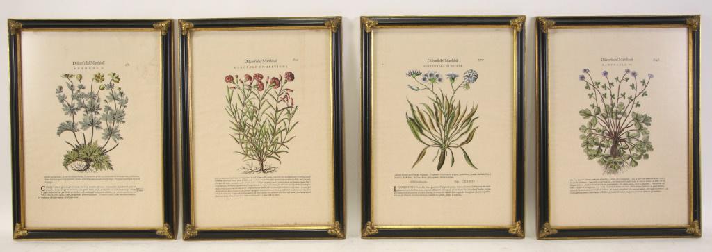 LOT OF FOUR ANTIQUE BOTANICAL PRINTS (1 of 5)