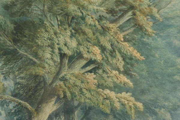PAIR OF PRINTS OF RIVERSCENE AND TREES - 5