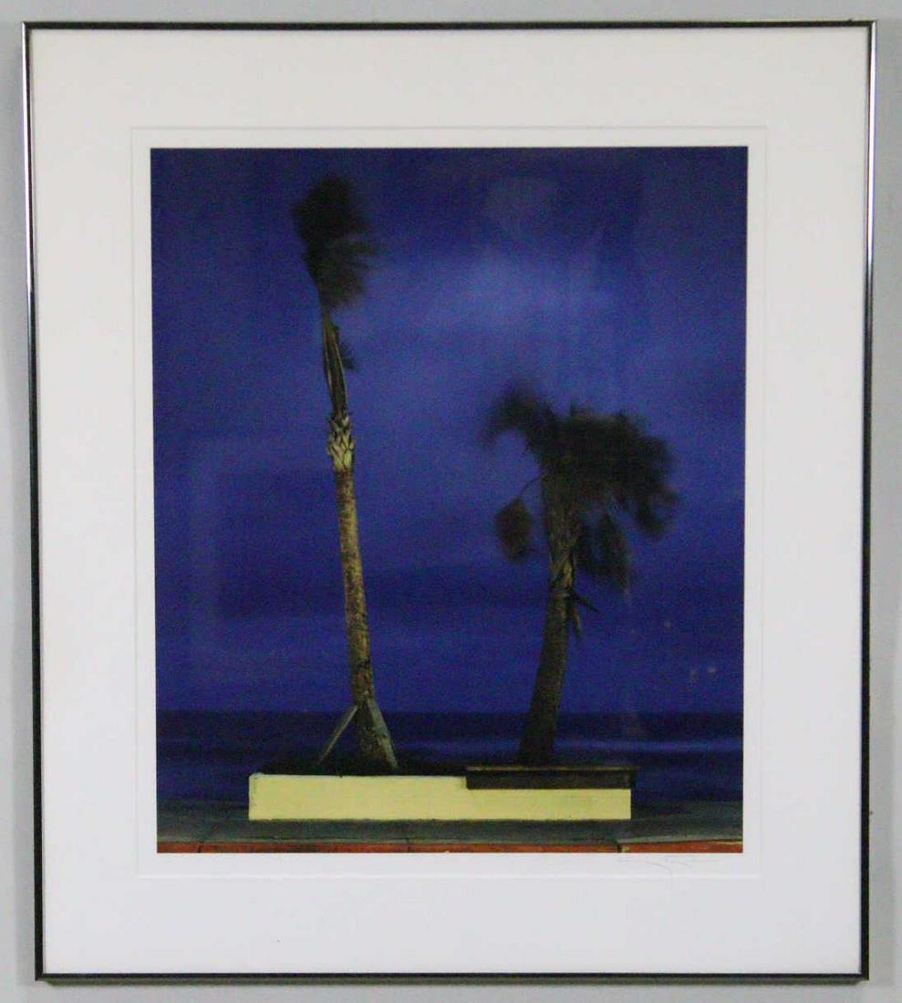 SIGNED GARY FAYE "GALVESTON PALM TREE" PHOTOGRAPH (1 of 3)