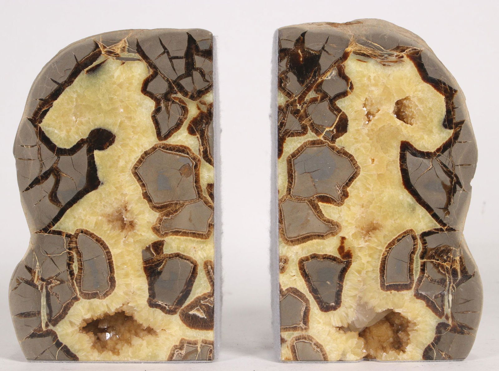LARGE SEPTARIAN BOOKENDS (1 of 1)