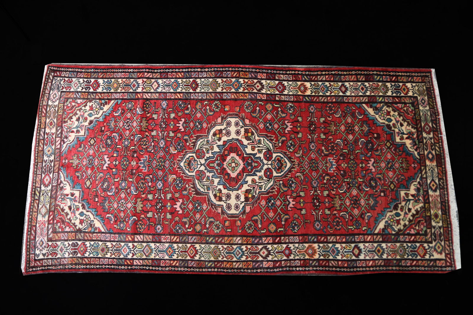 HAND KNOTTED PERSIAN HAMEDAN RUG: HAND KNOTTED PERSIAN HAMEDAN RUG Height: 5'9" in. by Width: 3'6"