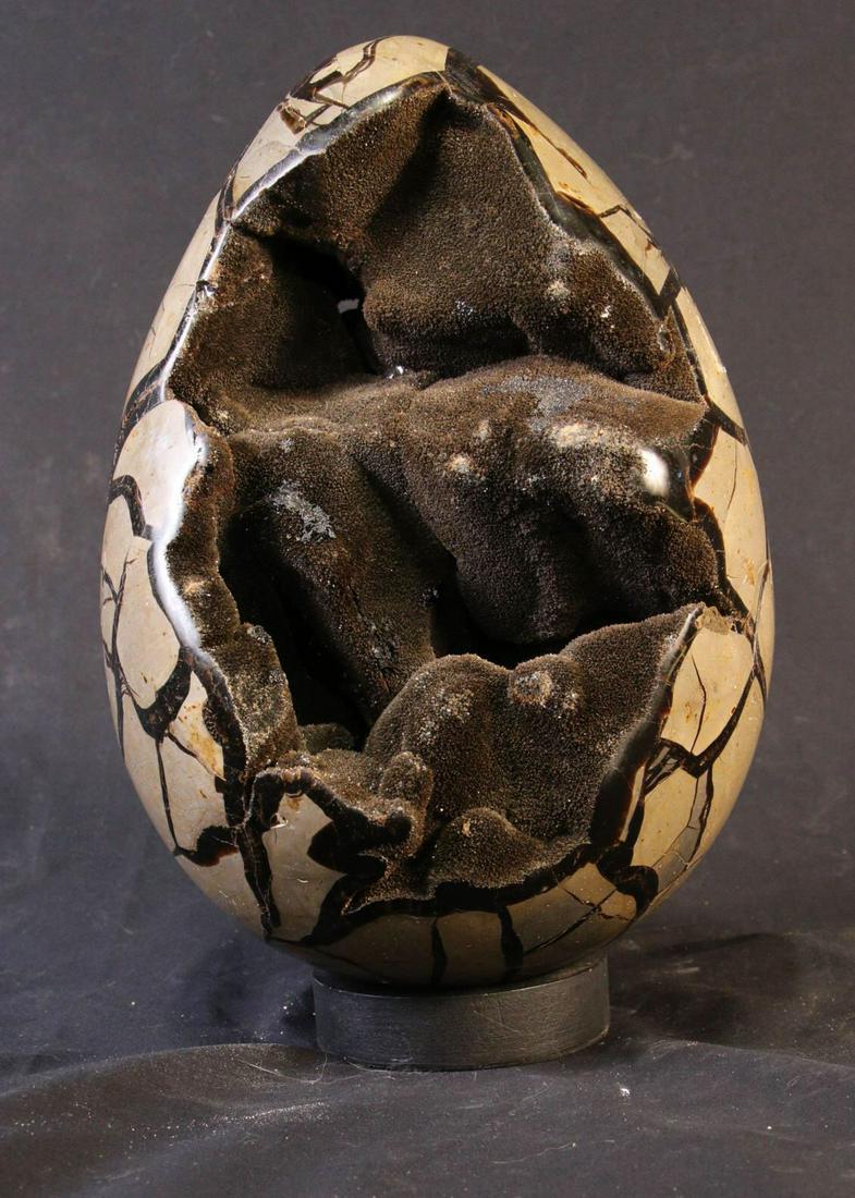 17.5 POUND SEPTARIAN DRAGON EGG (1 of 3)
