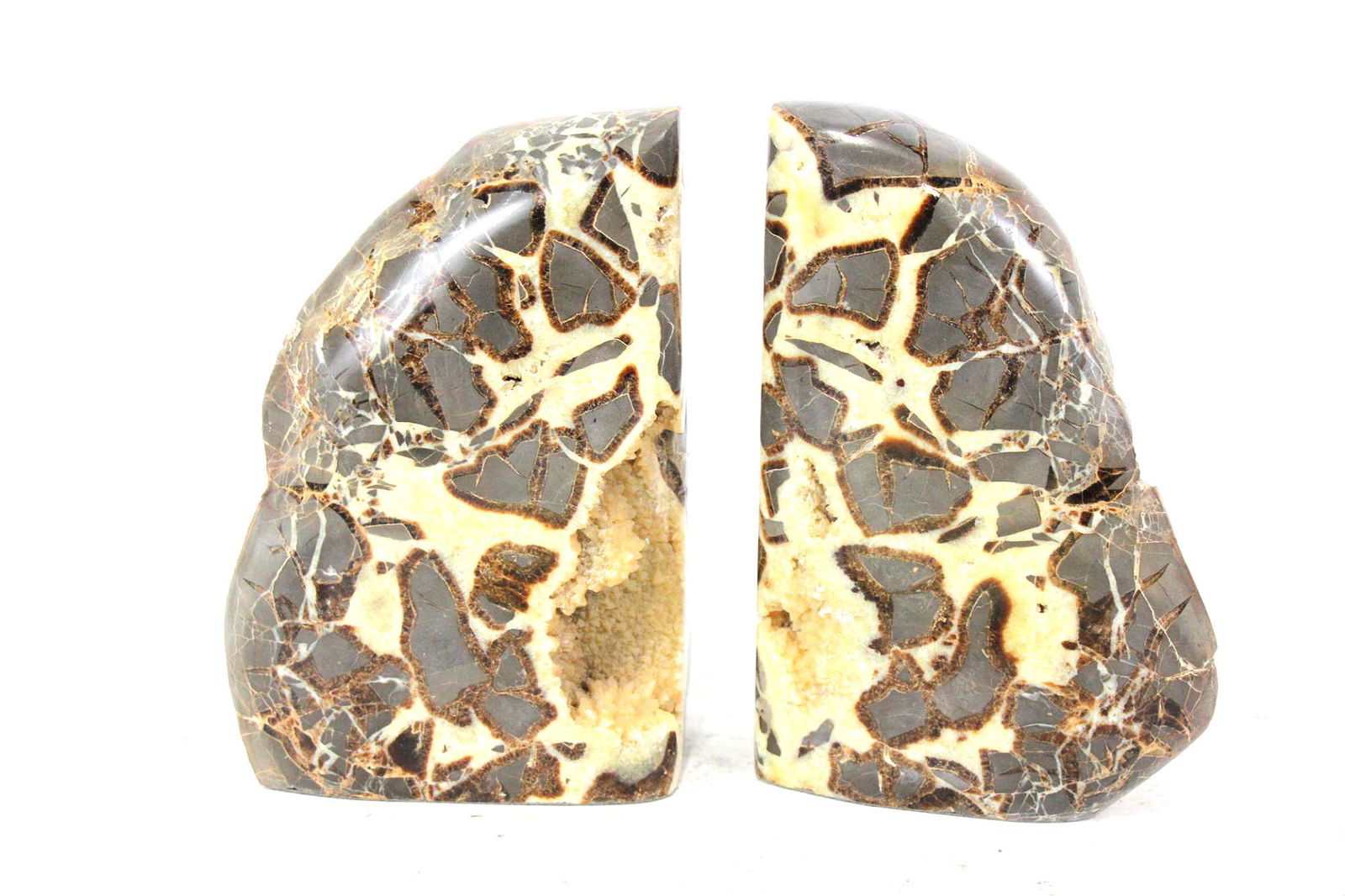 SEPTARIAN BOOKENDS (1 of 5)