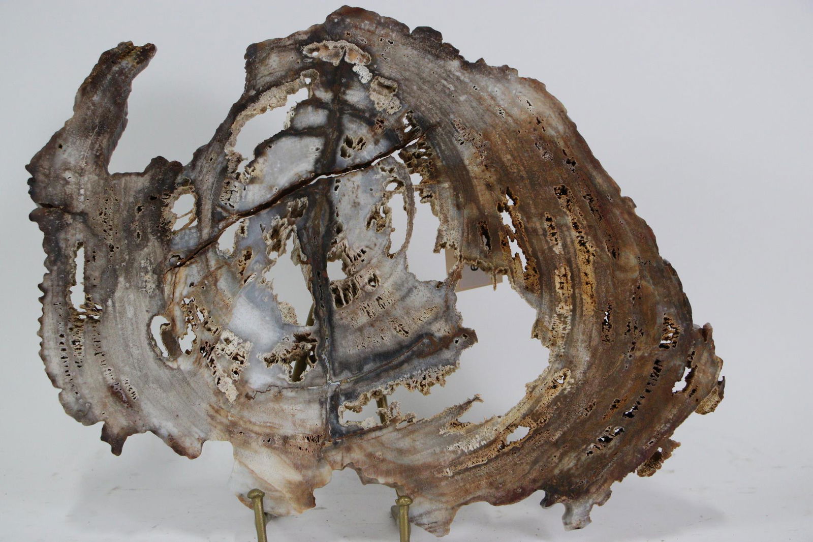 LARGE PETRIFIED WOOD SLAB (1 of 4)