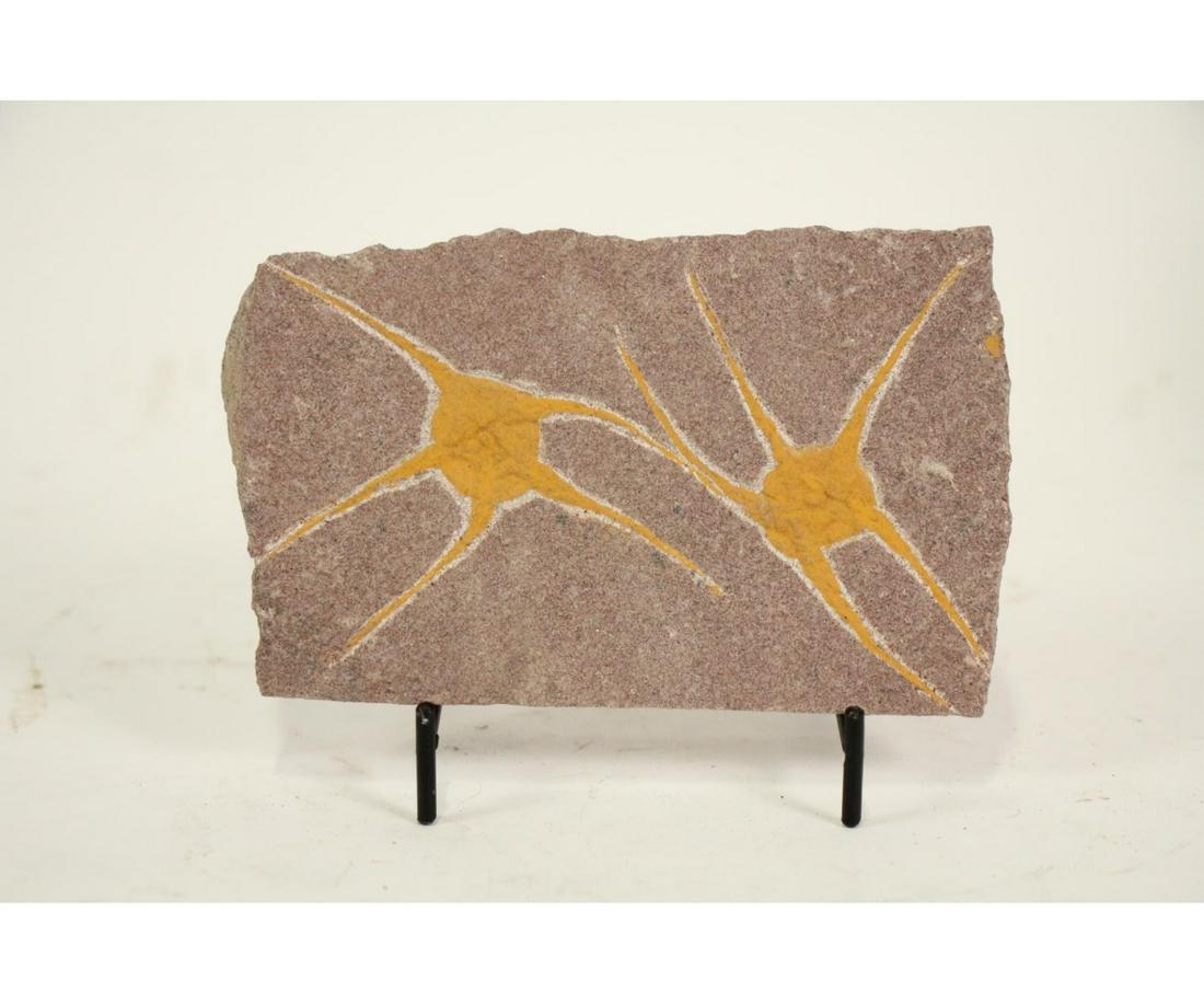 MOROCCAN JURASSIC STARFISH FOSSIL (1 of 1)