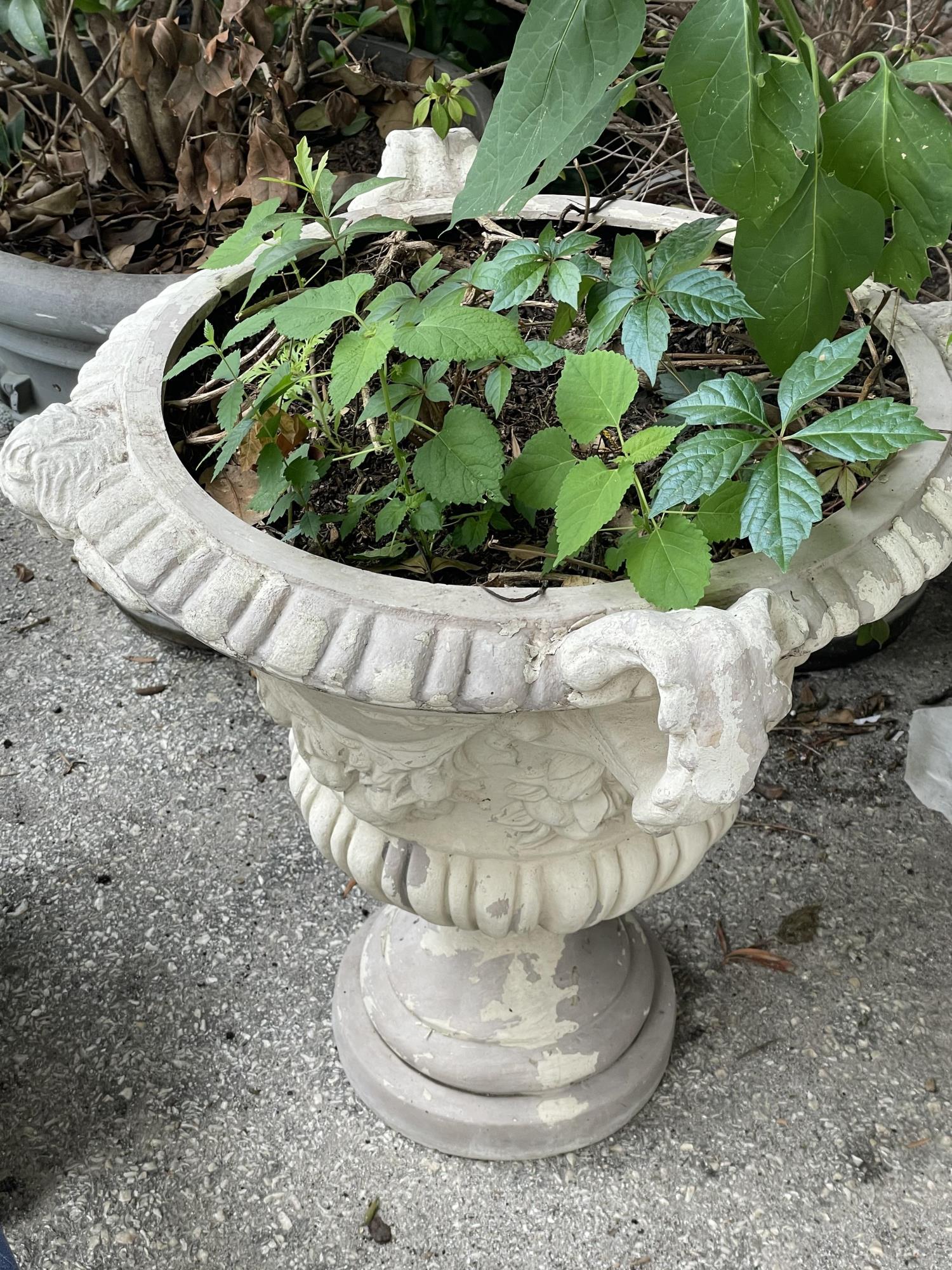 OUTDOOR CONCRETE FLOWER POT (1 of 1)