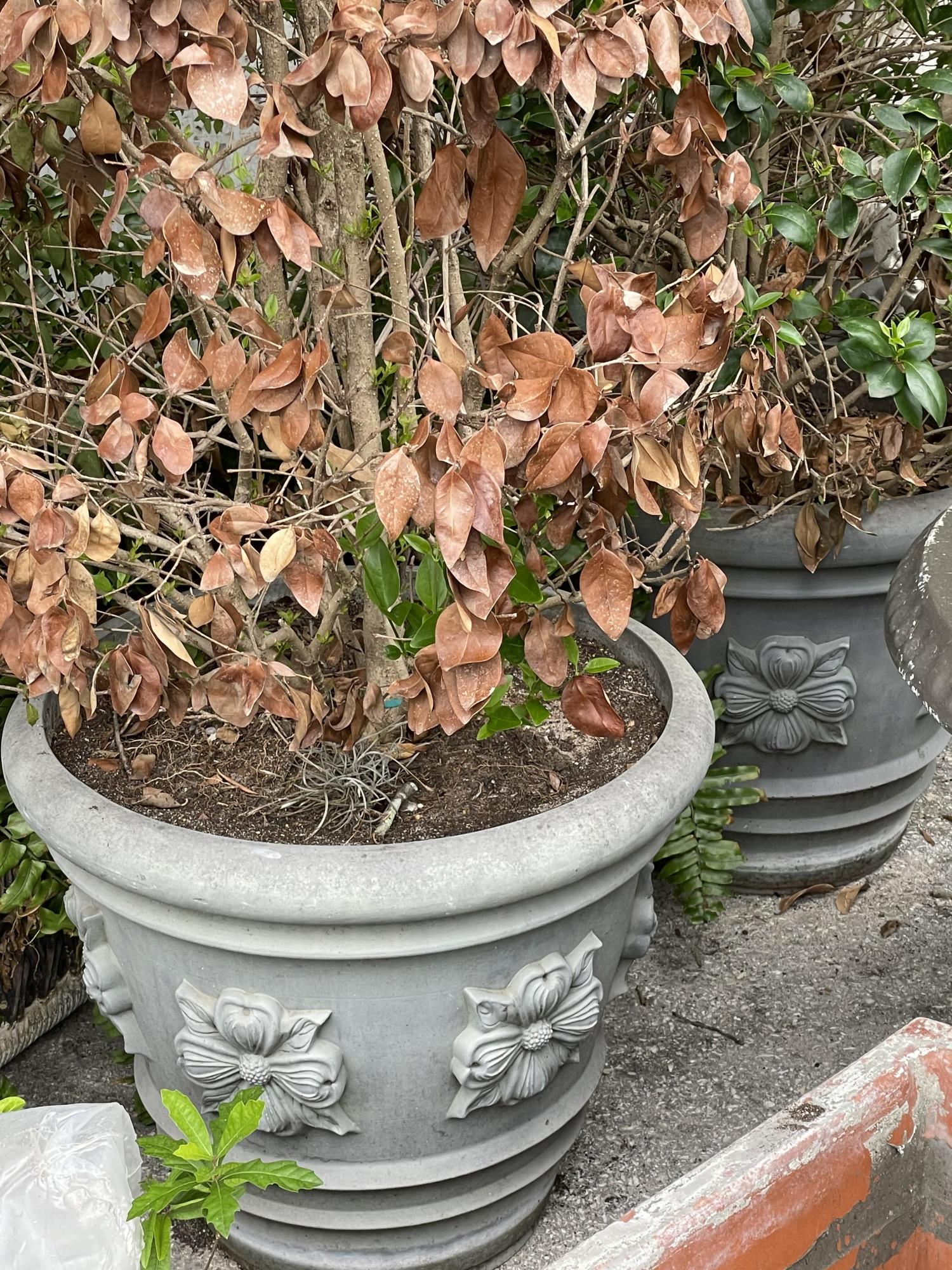 PAIR OF ROUND OUTDOOR CONCRETE FLOWER POTS (1 of 1)