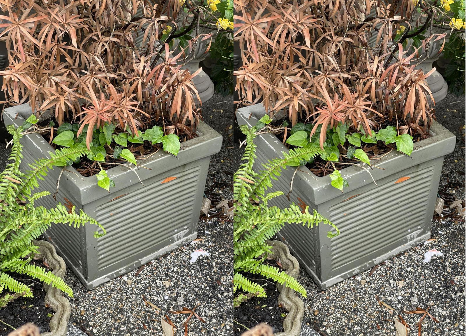 PAIR OF SQUARE OUTDOOR CONCRETE FLOWER POTS (1 of 3)