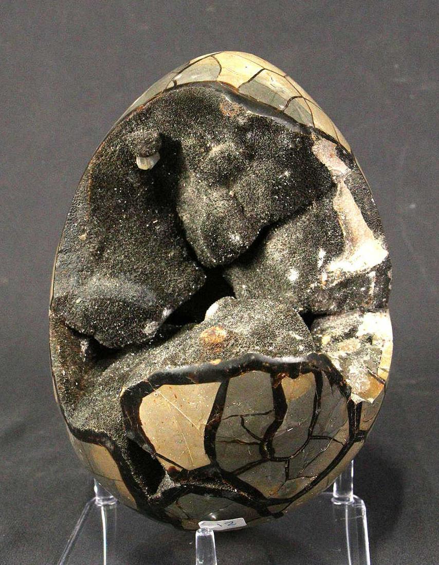 REPAIRED SEPTARIAN EGG (1 of 4)