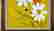 item-108882516=4
