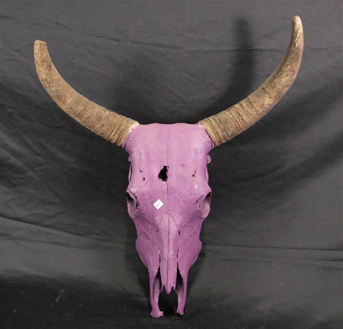 PURPLE PAINTED COW SKULL: PURPLE PAINTED COW SKULL - H. 31" X W. 25" X D. 5"