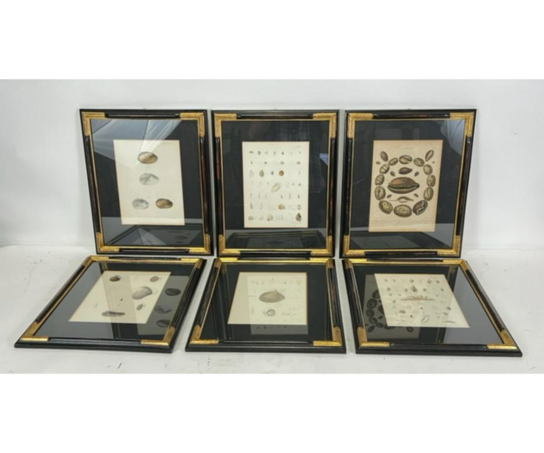 SIX 19th CENTURY HAND COLORED ENGRAVINGS (1 of 9)