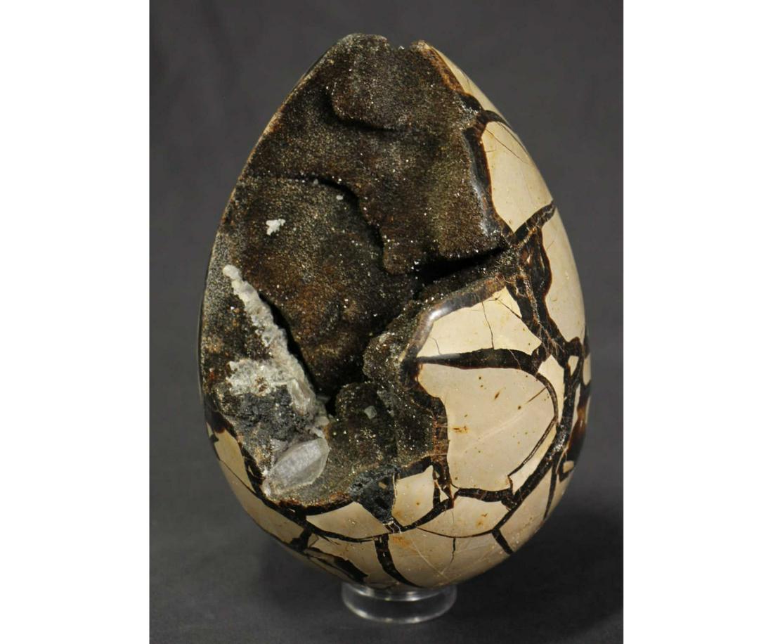 SEPTARIAN DRAGON EGG GEODE (1 of 3)