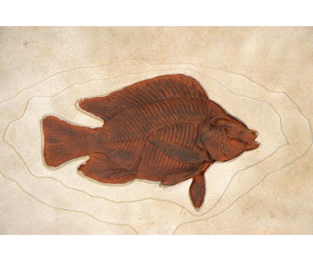 DECORATIVE REPLICA FISH FOSSIL: DECORATIVE REPLICA FISH FOSSIL. Height: 12 in. by Width: 19 in.