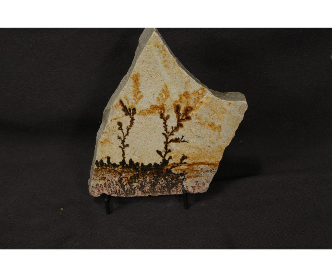 UTAH DENDRITE FOSSIL: UTAH DENDRITE FOSSIL - (D3) 1.2 LBS Height: 6 in. by Width: 5 in. by Depth: 1 IN.