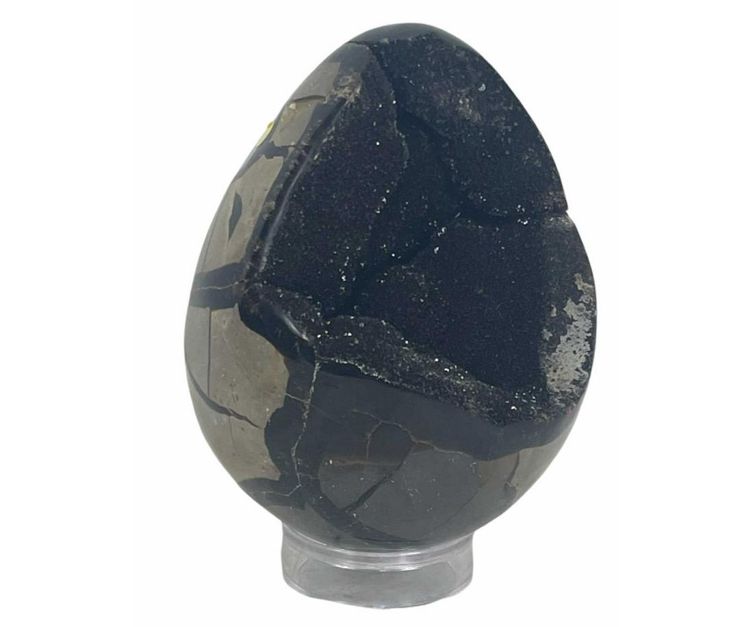 SEPTARIAN EGG (1 of 3)