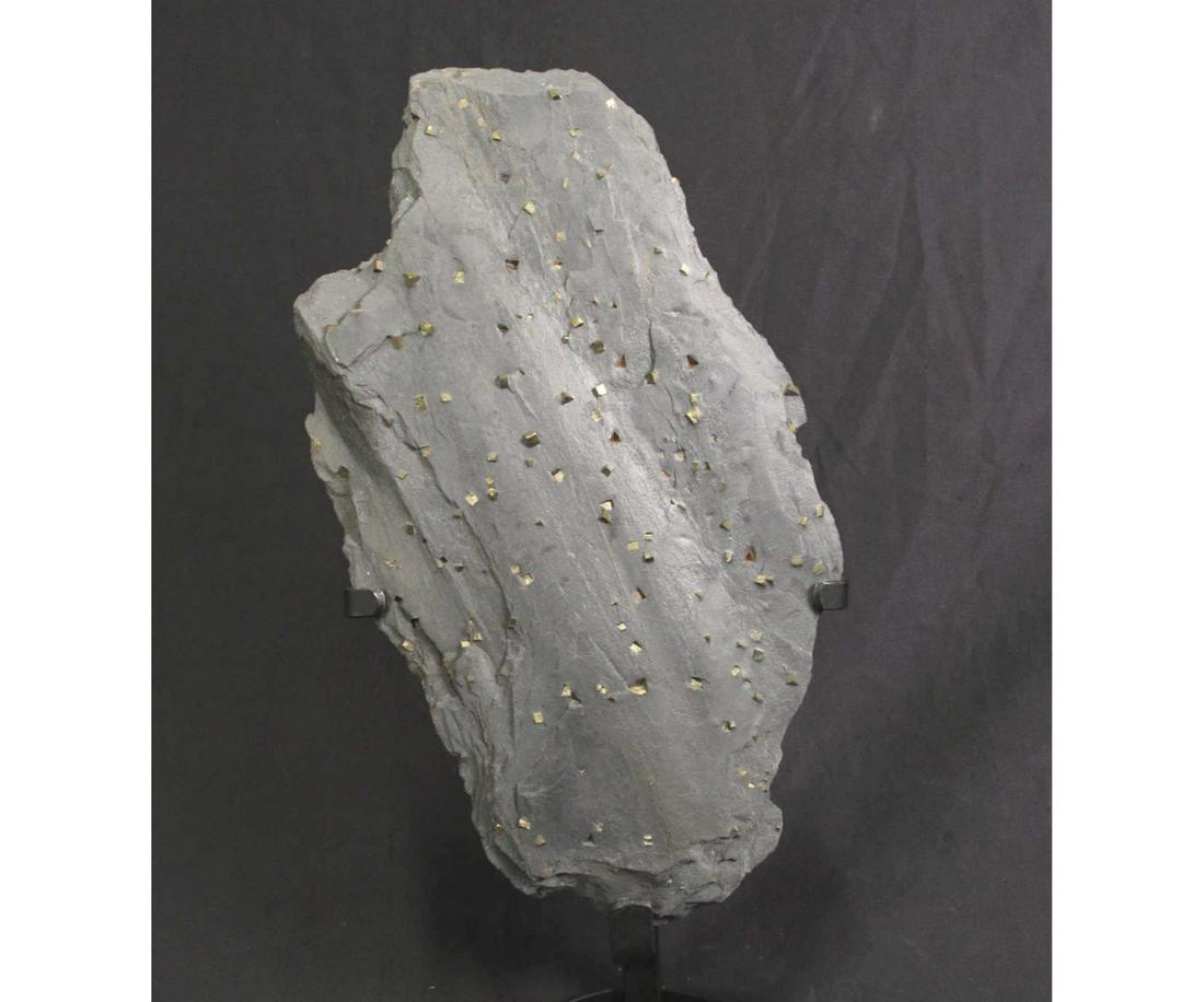 LARGE SHALE PLATE W/PYRITE CUBES (1 of 3)