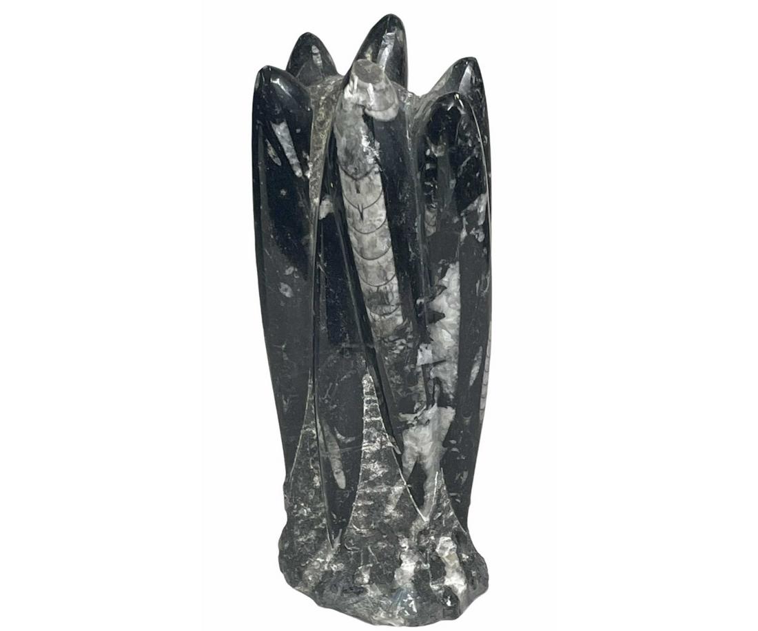 ORTHOCERAS TOWER (1 of 3)