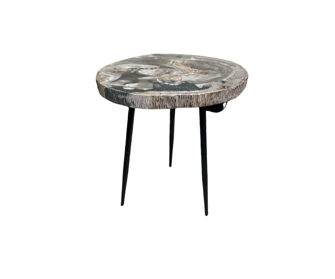 PETRIFIED WOOD SIDE TABLE (1 of 3)