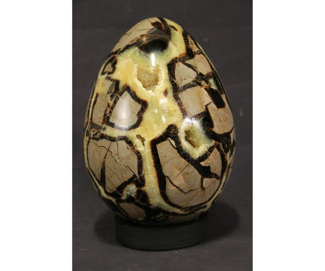 SEPTARIAN DRAGON EGG (1 of 3)