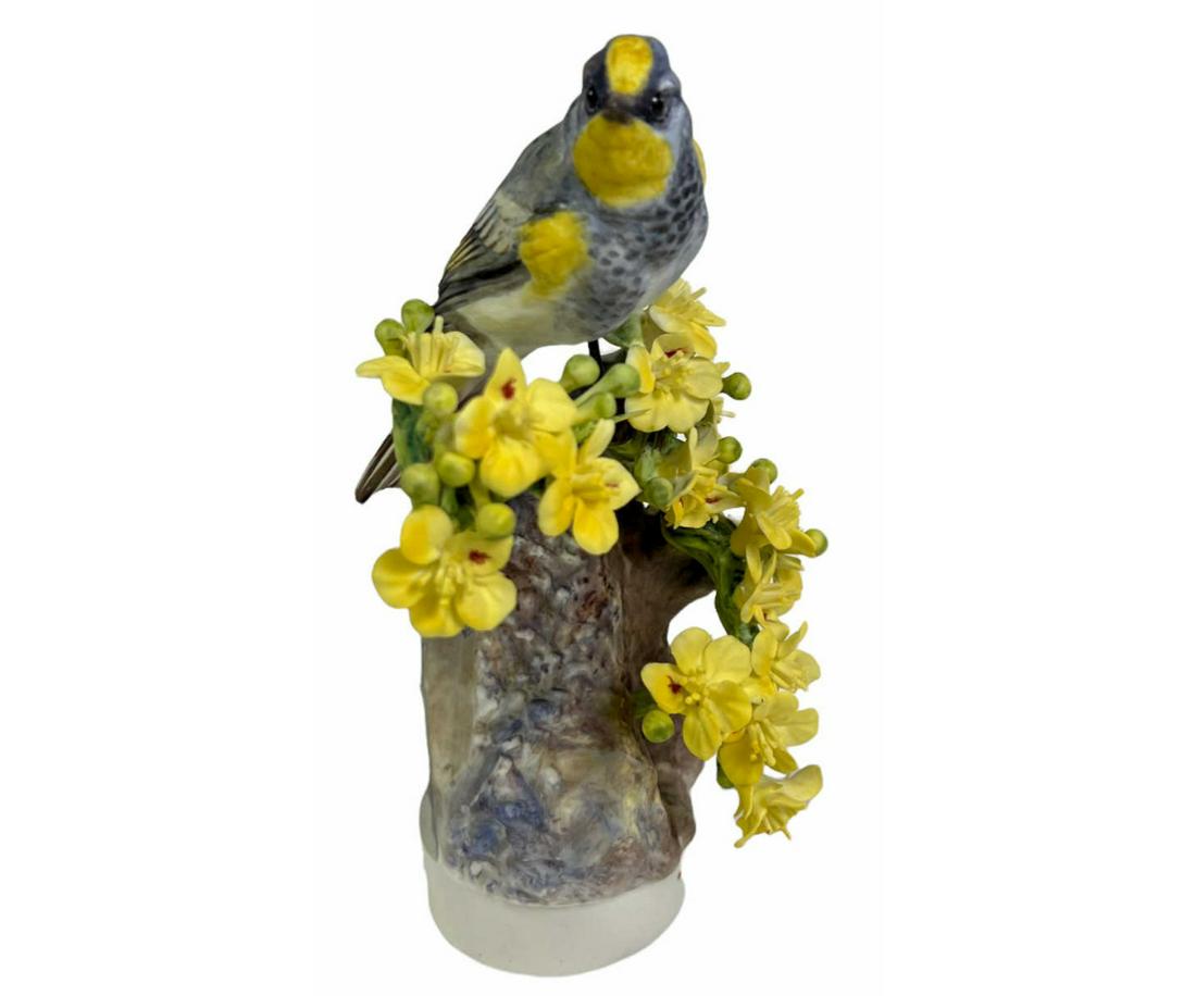ROYAL WORCESTER AUDUBON WARBLER BIRD (1 of 5)