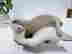 item-130638161=6