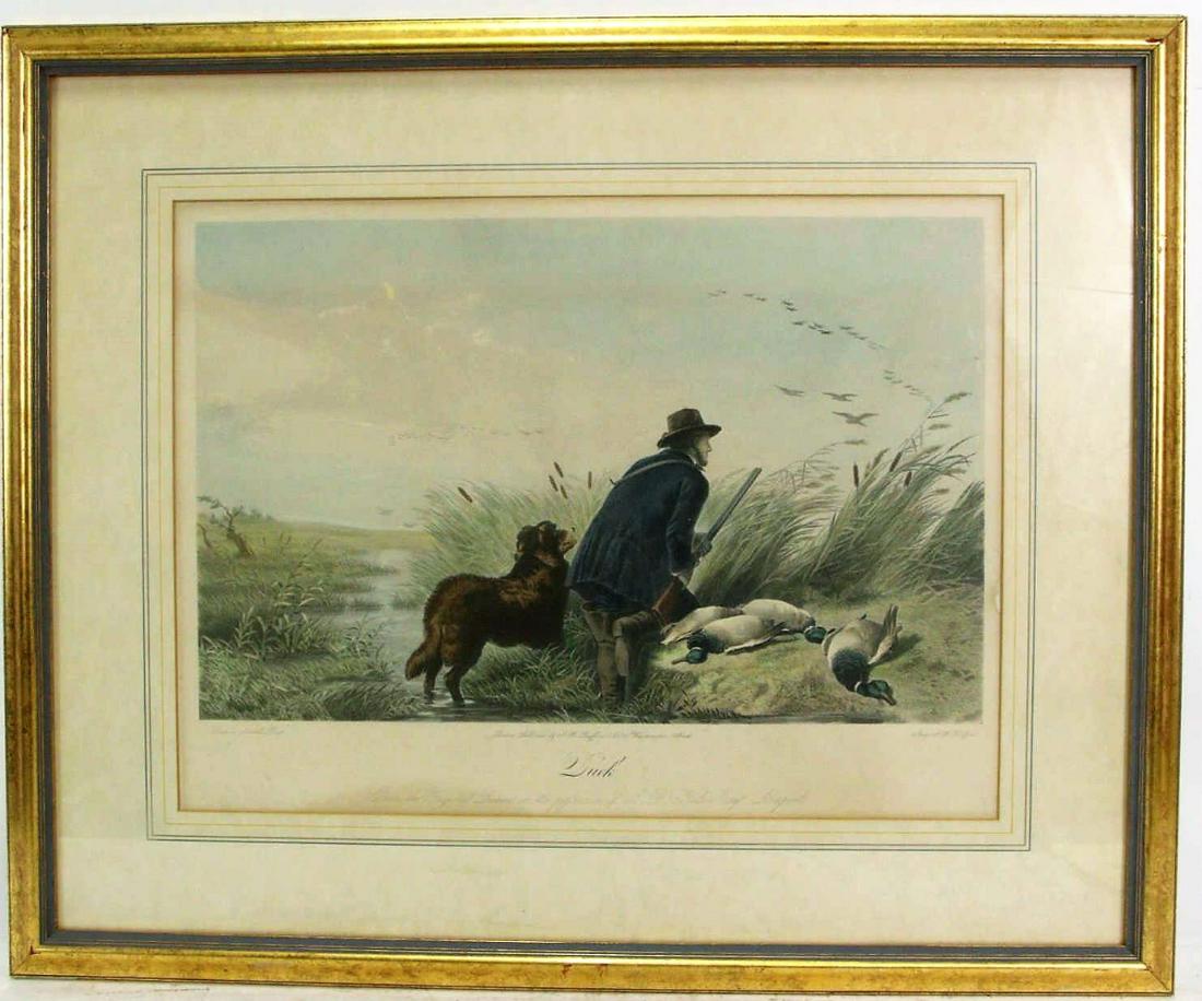 FRAMED ENGLISH "DUCKS" ENGRAVING (1 of 2)