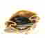 item-131757570=2