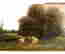 item-131757645=5