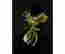 item-131757655=2