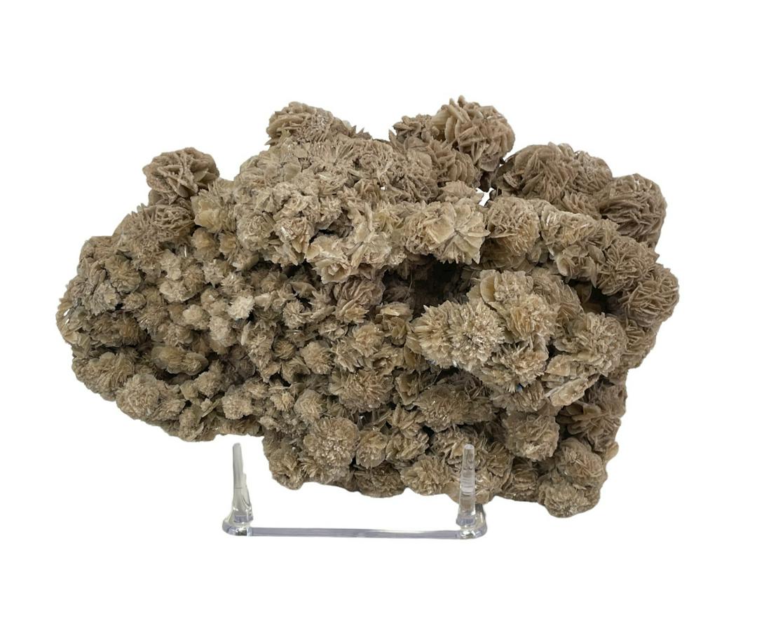 HUGE DESERT ROSE SELENITE FORMATION (1 of 3)