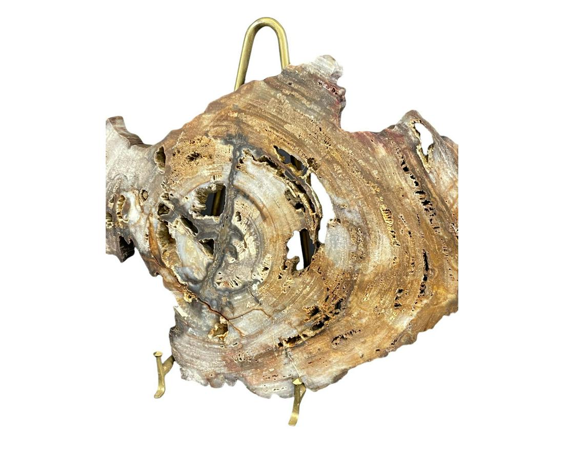 LARGE NATURAL PETRIFIED WOOD SLAB (1 of 3)