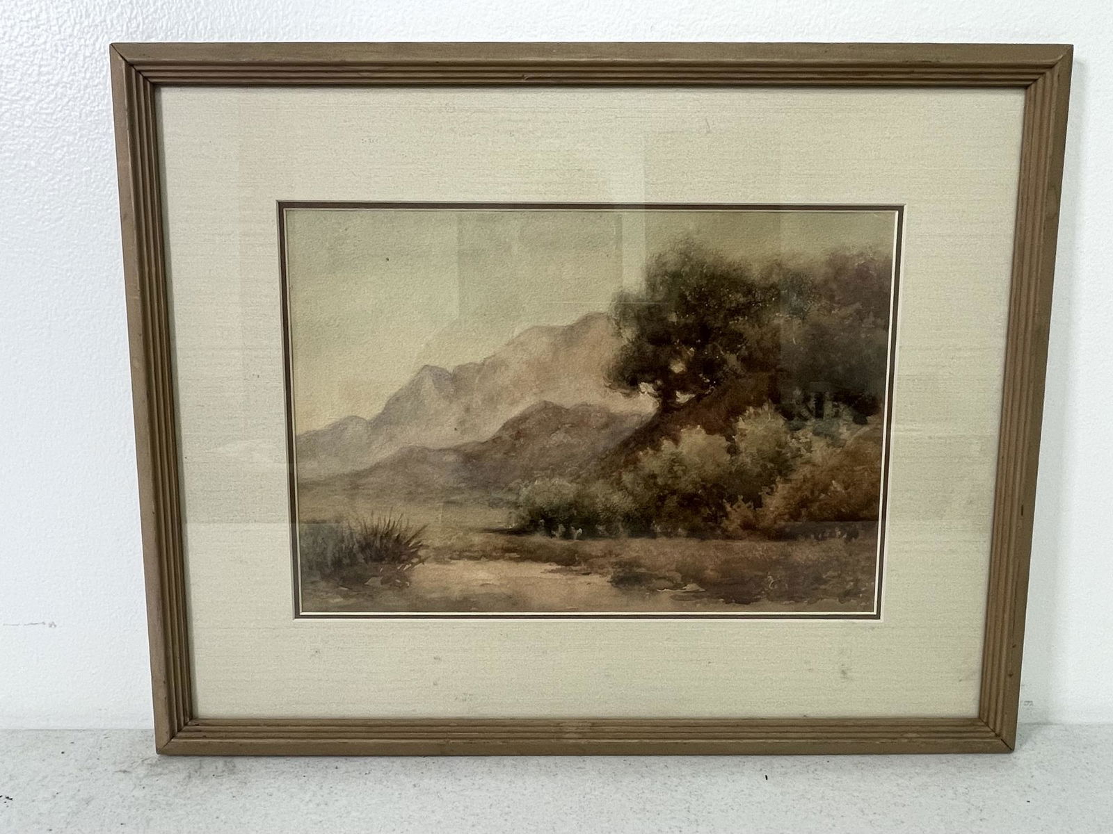 MOUNTAINS & TREES LANDSCAPE (1 of 2)