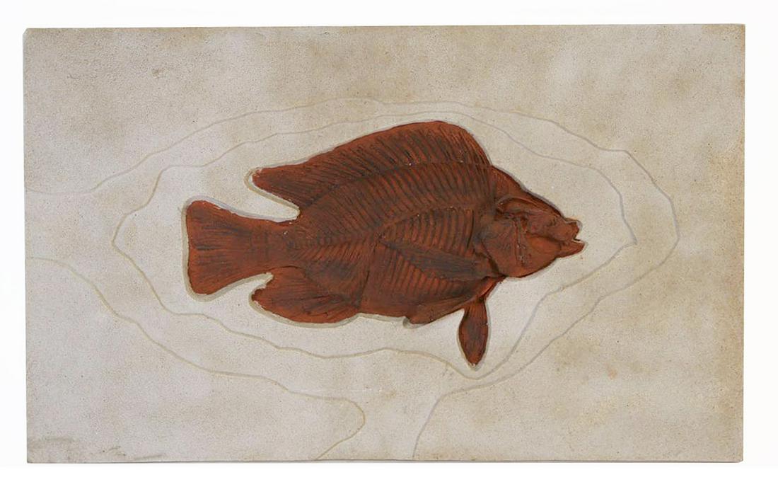 DECORATIVE REPLICA FISH FOSSIL: DECORATIVE REPLICA FISH FOSSIL. Height: 12 in. by Width: 19 in.