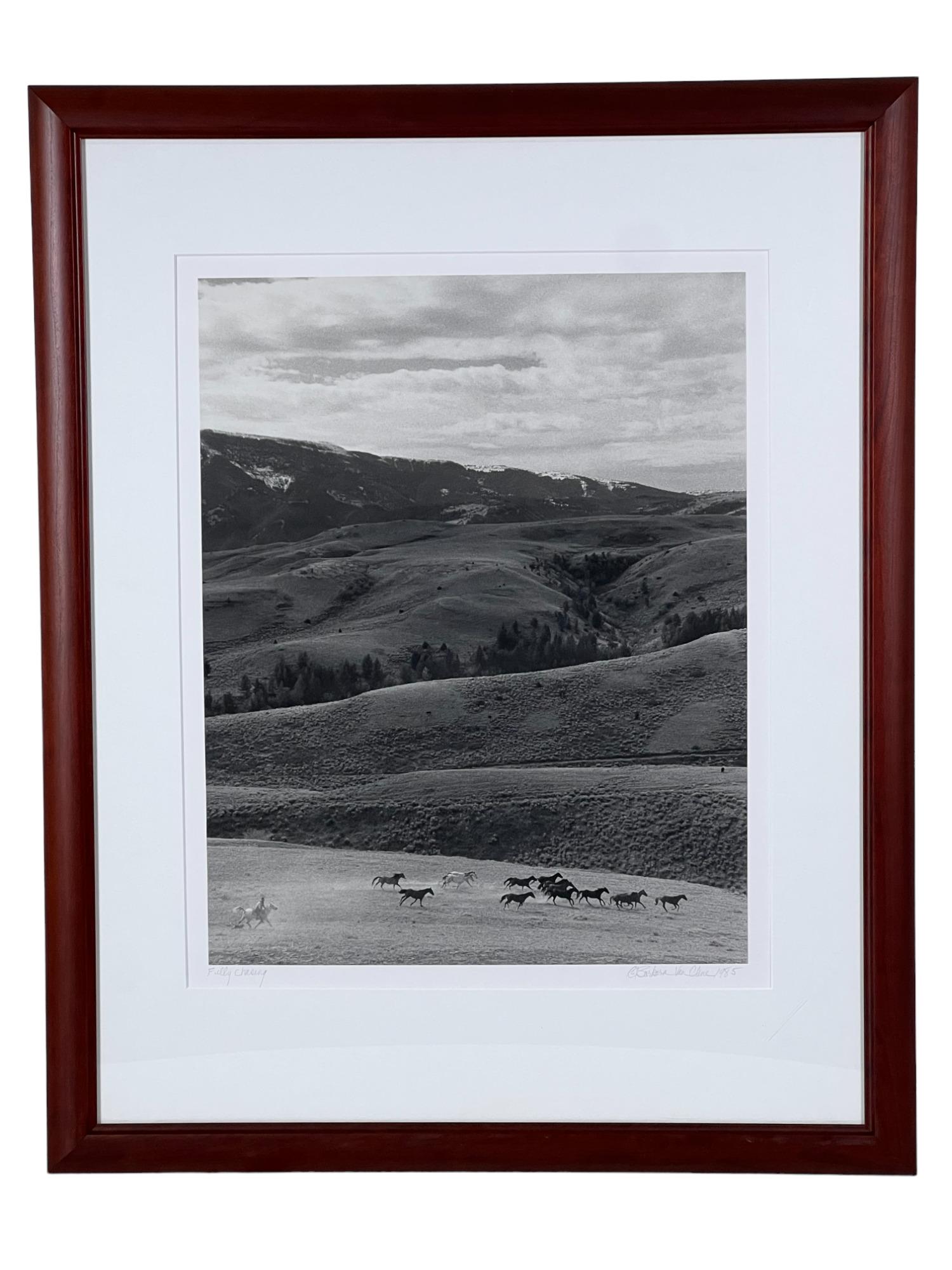 BARBARA VAN CLEVE "FULLY CHASING" (1 of 2)